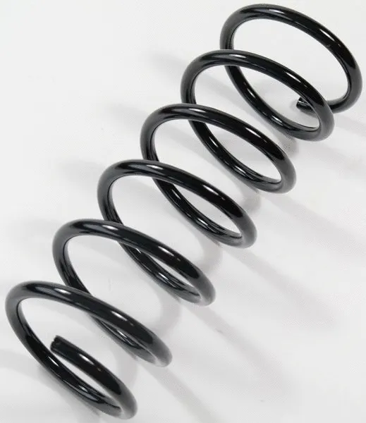 Suspension Spring (63740)