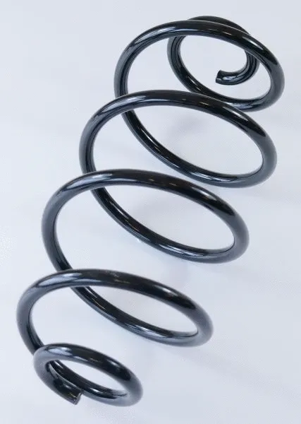 Suspension Spring (66522)