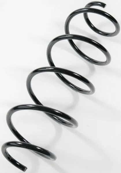 Suspension Spring (66925)