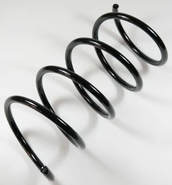 Suspension Spring (58701)