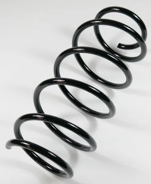 Suspension Spring (63735)