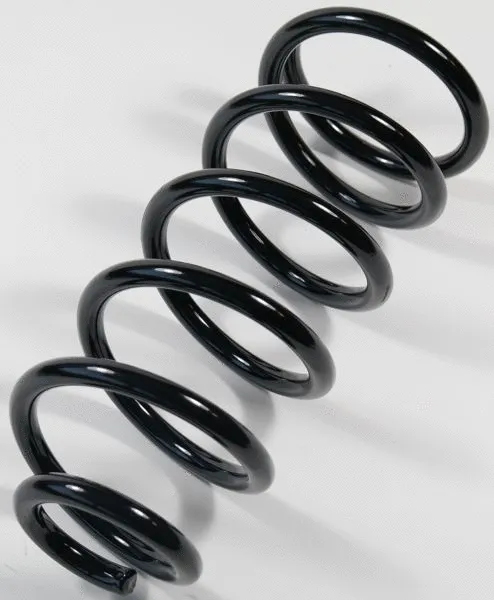 Suspension Spring (67065)