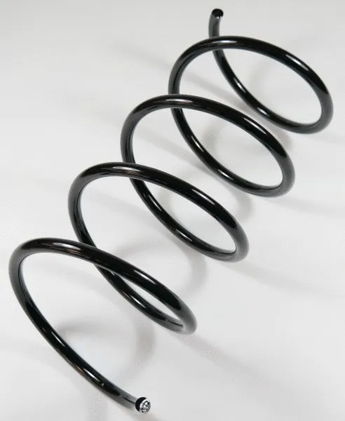 Suspension Spring (58700)