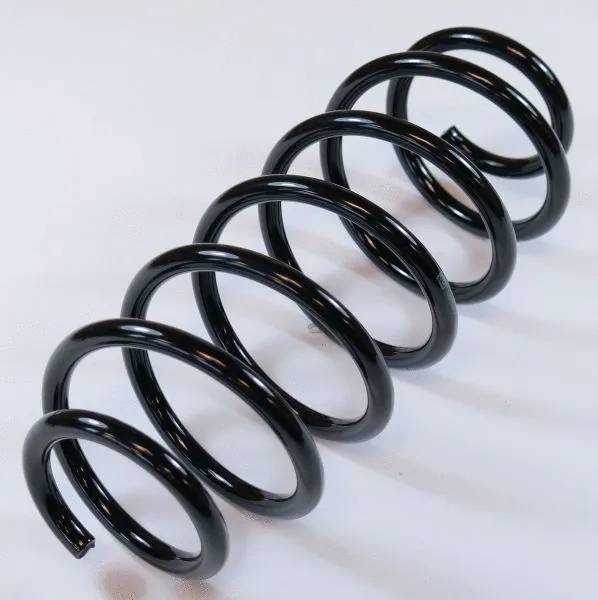 Suspension Spring (63719)