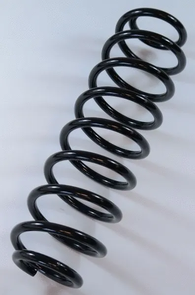 Suspension Spring (66862)