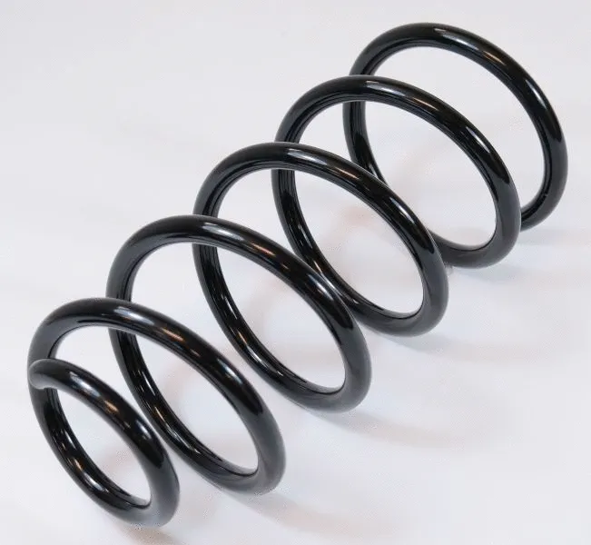 Suspension Spring (63866)