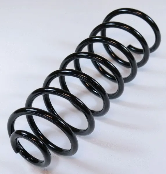 Suspension Spring (64172)