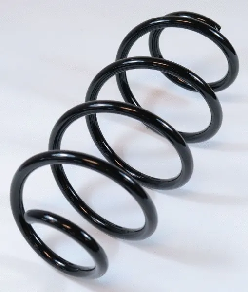 Suspension Spring (63755)