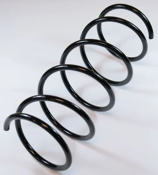 Suspension Spring (62928)