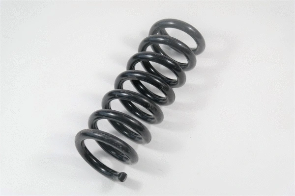 Suspension Spring (58706)