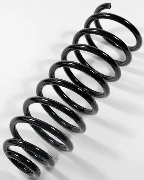 Suspension Spring (66908)