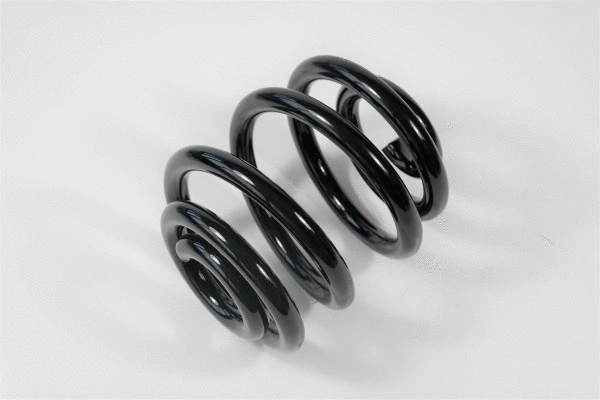 Suspension Spring (67235)