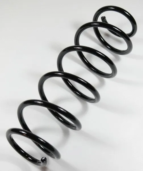 Suspension Spring (58745)