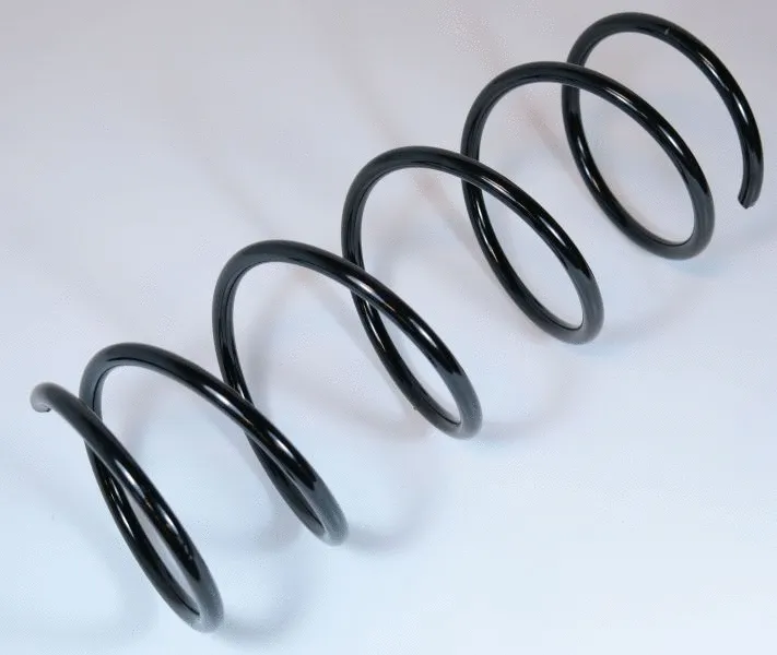 Suspension Spring (62929)