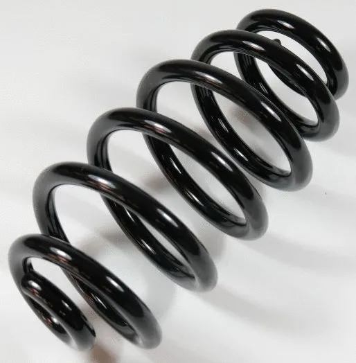 Suspension Spring (64200)