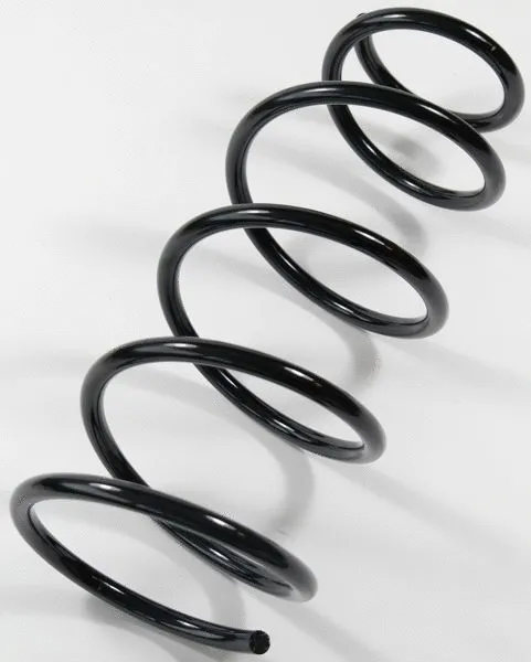 Suspension Spring (66920)