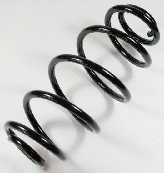 Suspension Spring (58748)