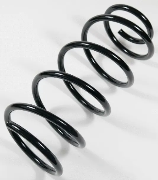 Suspension Spring (67280)