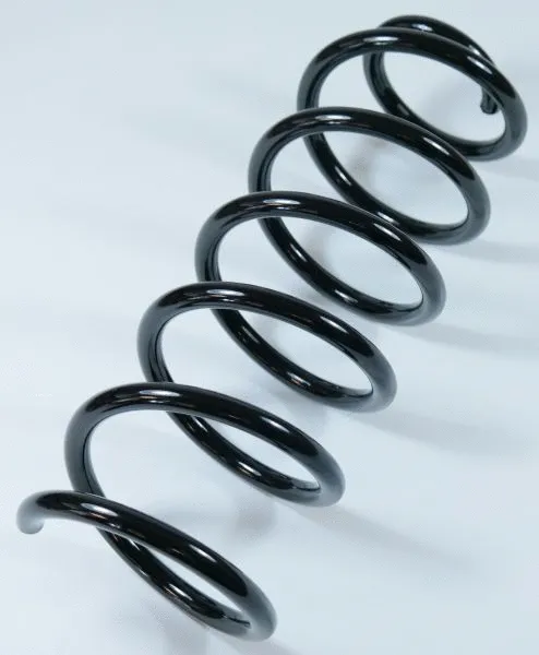 Suspension Spring (58708)
