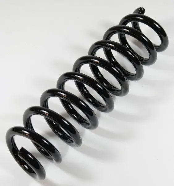 Suspension Spring (64206)