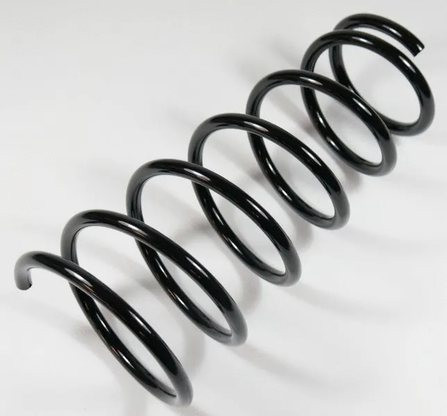 Suspension Spring (61319)