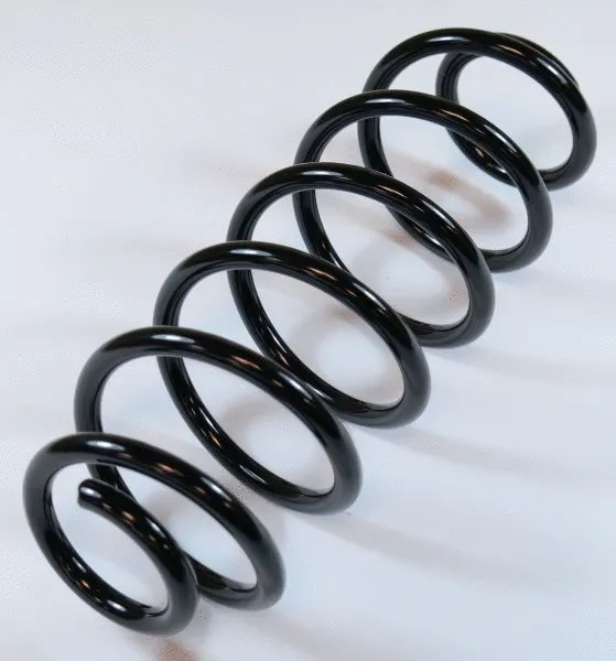 Suspension Spring (63744)