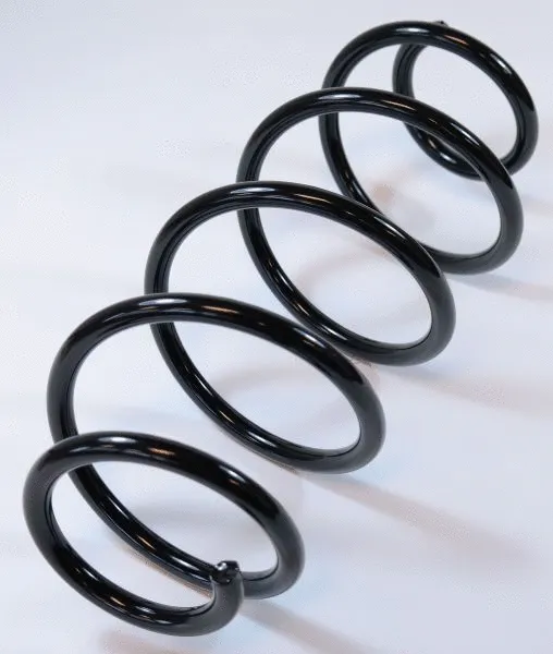 Suspension Spring (66734)