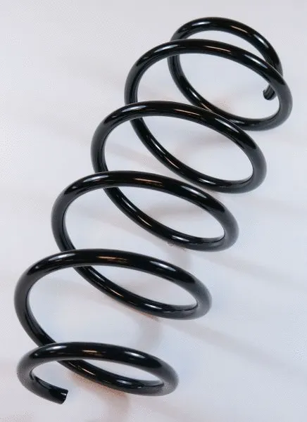 Suspension Spring (65058)