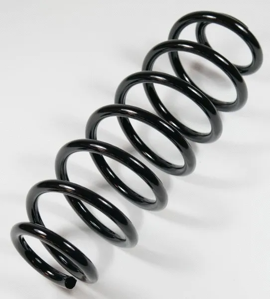 Suspension Spring (64119)
