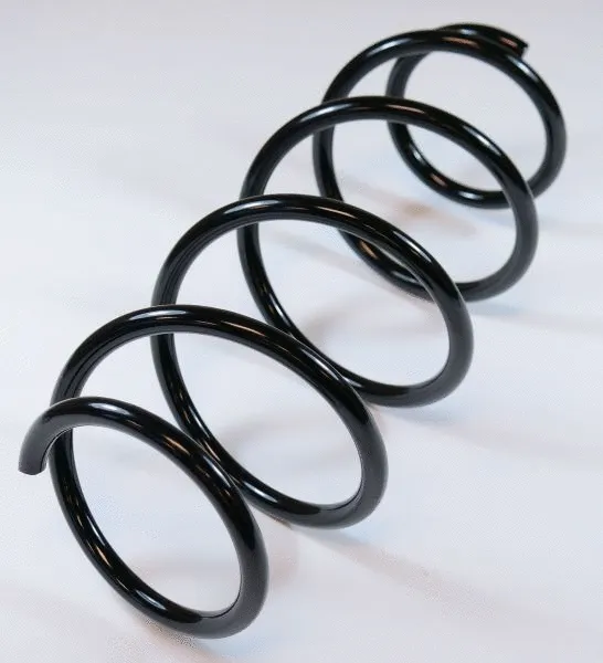 Suspension Spring (63317)