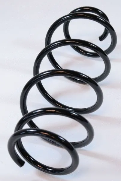 Suspension Spring (66718)