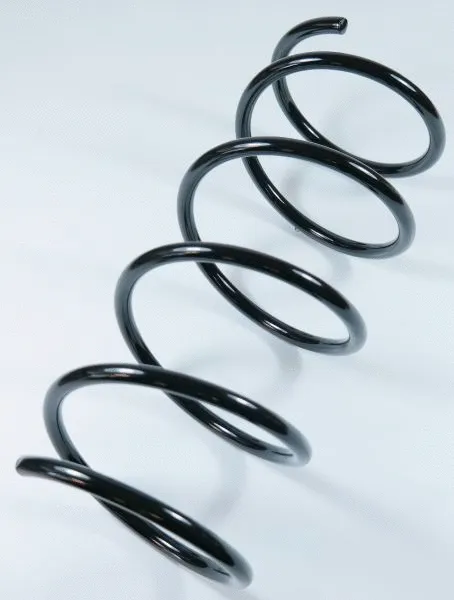 Suspension Spring (67040)