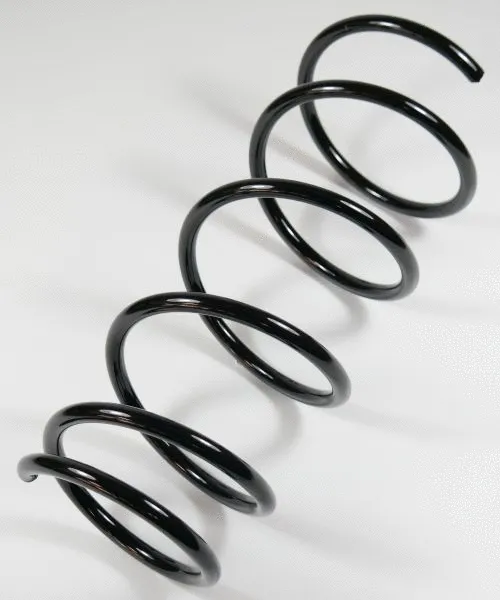 Suspension Spring (62878)