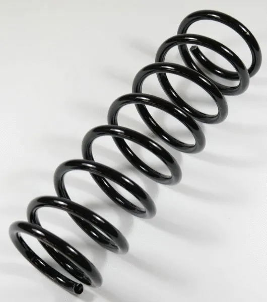 Suspension Spring (62852)