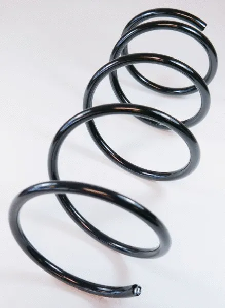 Suspension Spring (63862)