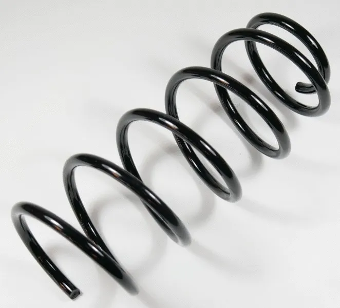 Suspension Spring (64091)