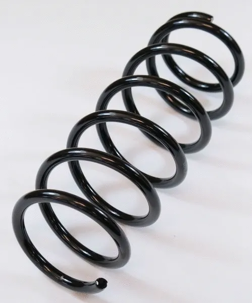 Suspension Spring (63497)