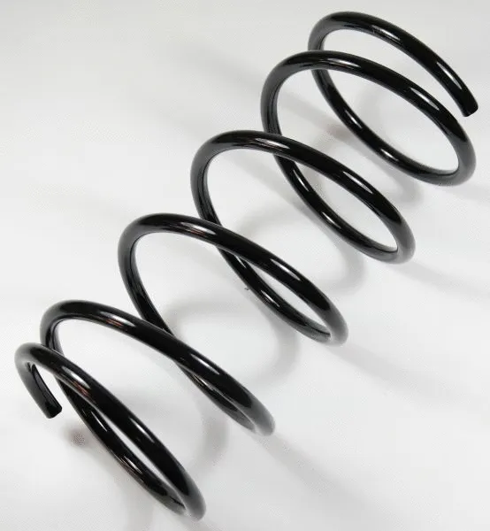 Suspension Spring (64447)