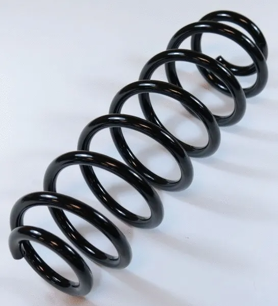 Suspension Spring (67173)