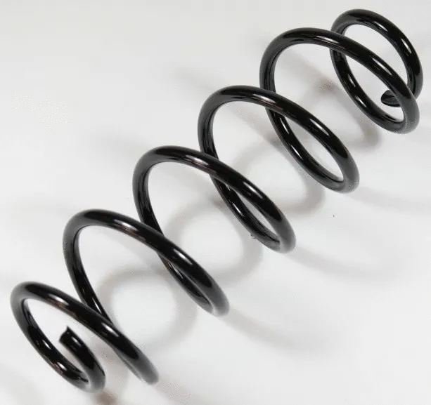 Suspension Spring (64129)