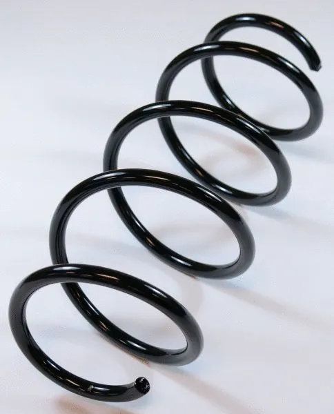 Suspension Spring (67473)