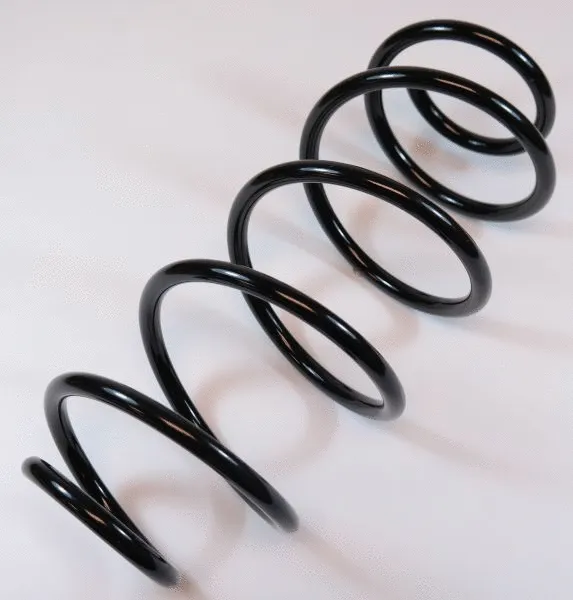 Suspension Spring (66738)