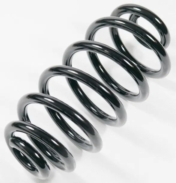 Suspension Spring (66720)