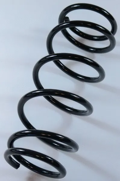Suspension Spring (62905)