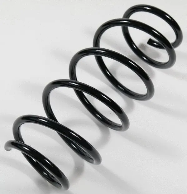 Suspension Spring (67450)