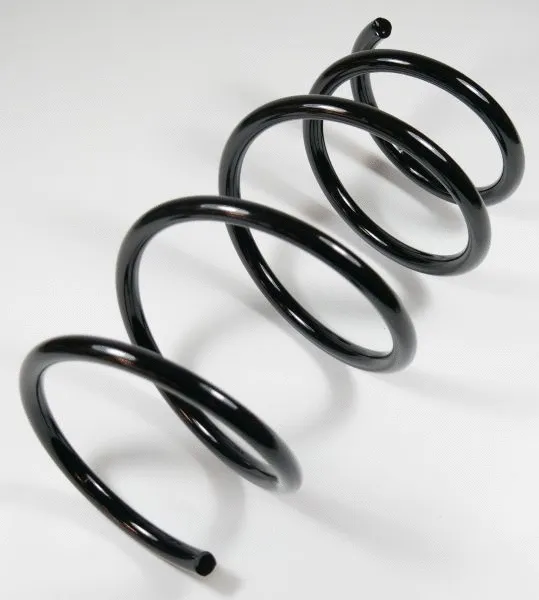 Suspension Spring (63973)