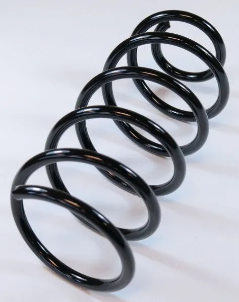 Suspension Spring (67134)