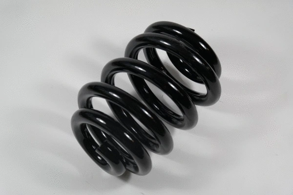 Suspension Spring (58751)