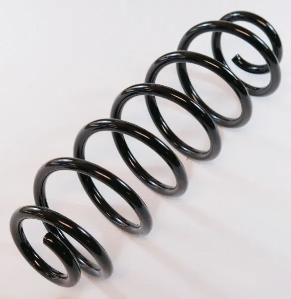 Suspension Spring (66790)