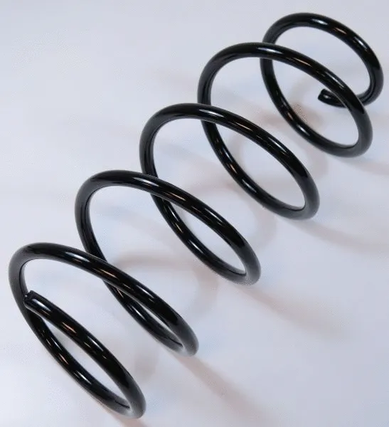 Suspension Spring (62954)